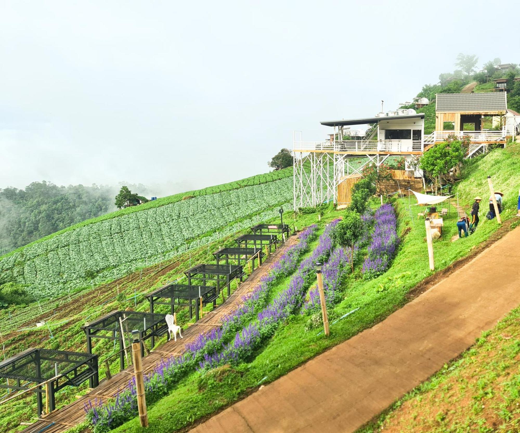 ภูวินคาเฟ่ โฮมสเตย์ Phuwin Cafe Homestay Mon Jam Εξωτερικό φωτογραφία